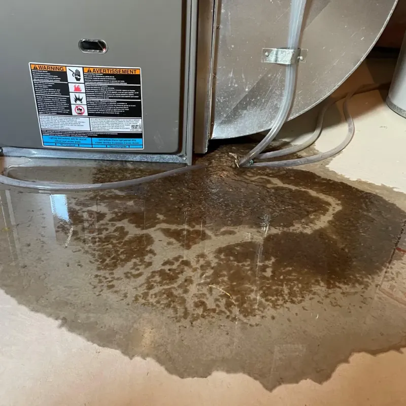 Appliance Leak Cleanup in Roswell, GA