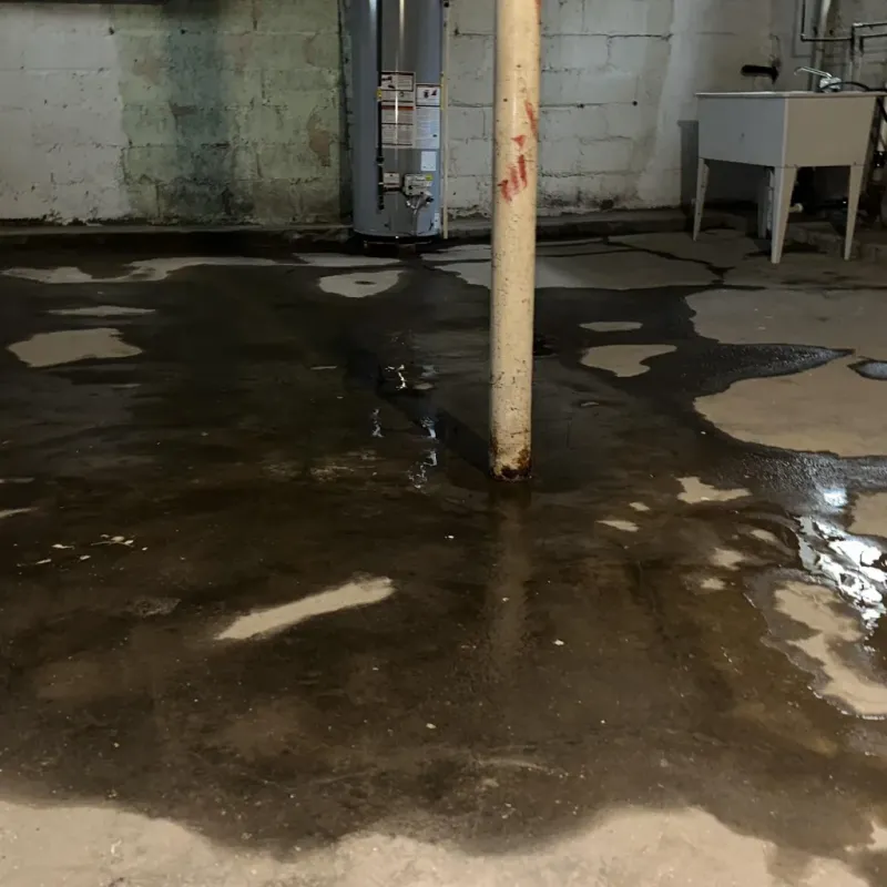Emergency Water Extraction And Removal in Roswell, GA
